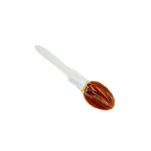 Cucharota
