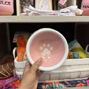 Talavera Dog Bowl