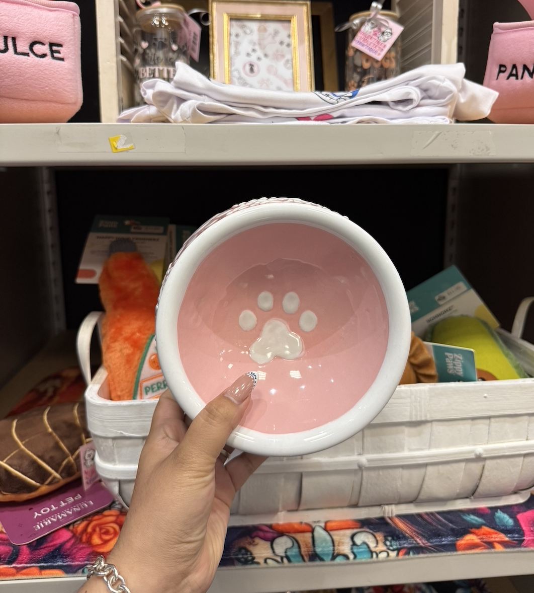 Talavera Dog Bowl